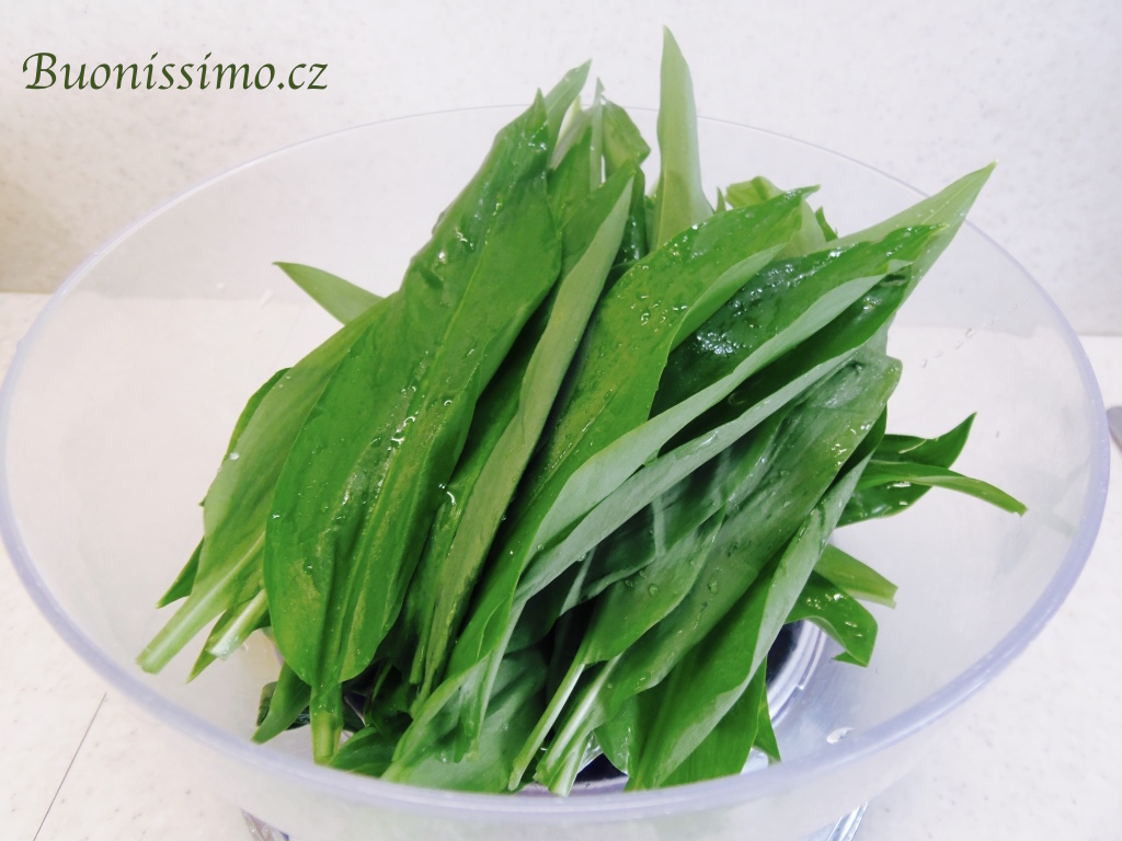 Pesto z medvědího česneku