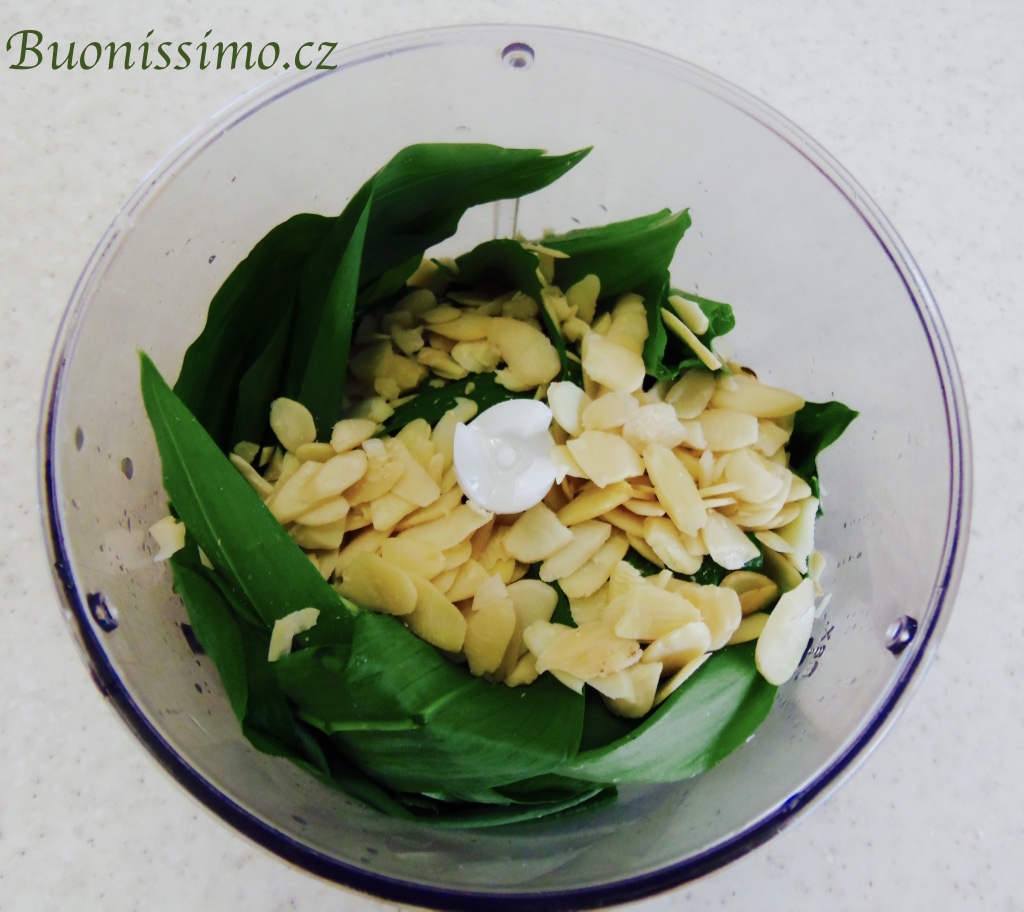 Pesto z medvědího česneku
