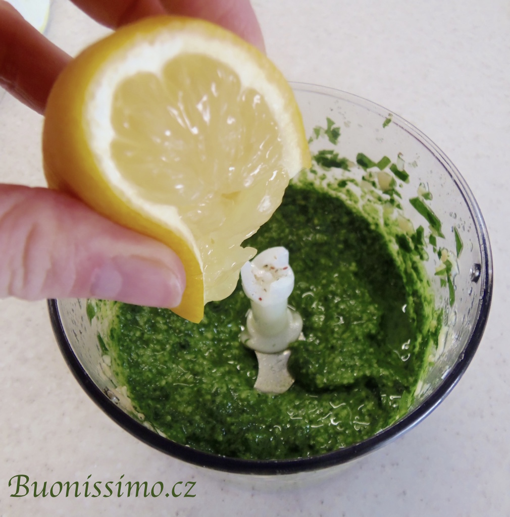 Pesto z medvědího česneku