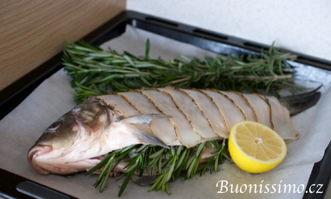 Kapr „in porchetta“ s pistáciemi