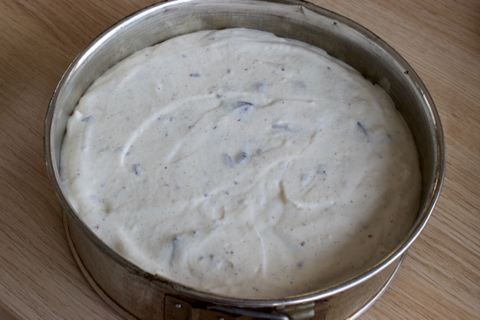 Dort Stracciatella